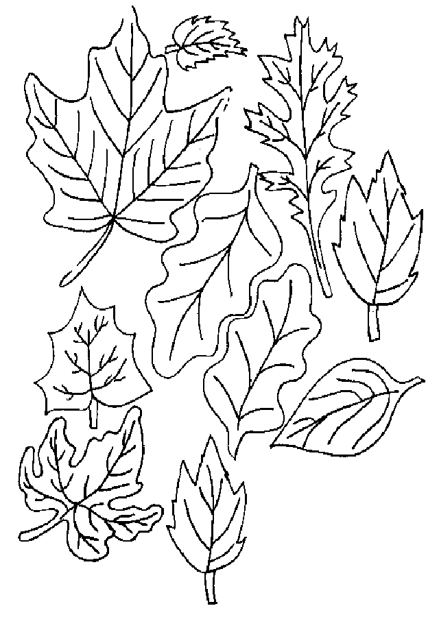 varias hojas para pintar