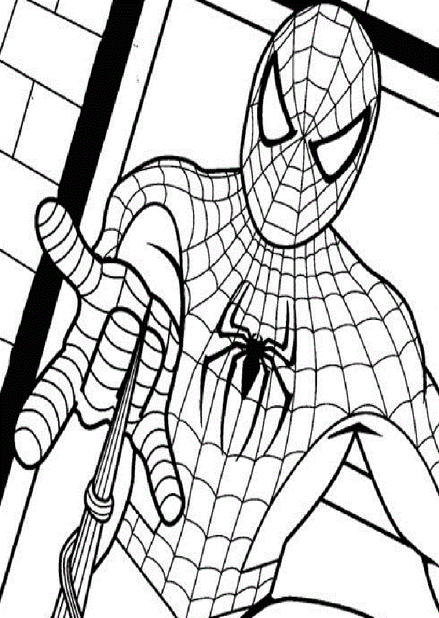 dibujo spiderman para colorear