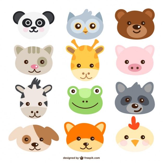 ▷ Caras de animales 