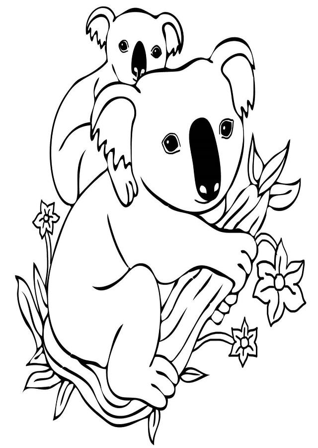 Dibujado A Mano Dibujos Animados Koala Pequeño Mapache PNG  Durmiendo  Animados Ojos Cerrados PNG y Vector para Descargar Gratis  Pngtree