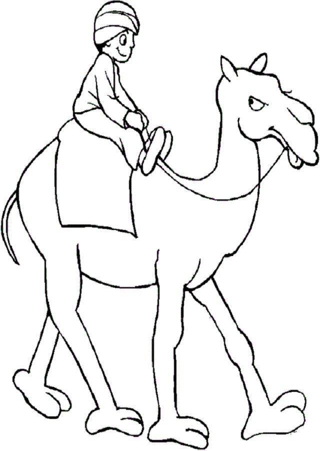 dibujo camello paseando