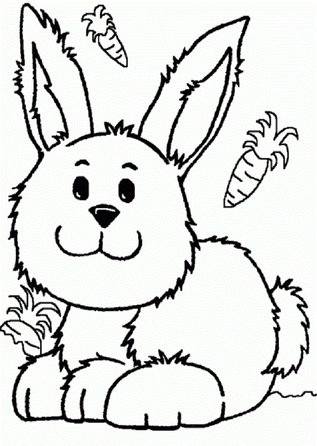 Conejos Para Colorear Dibujos Para Colorear