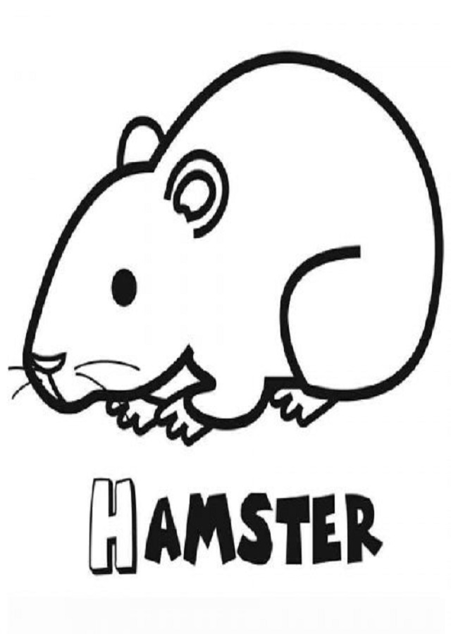  ▷ Hamster para colorear