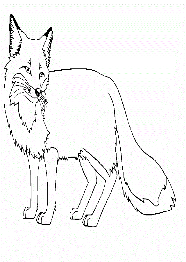 Imagen de un zorro para colorear