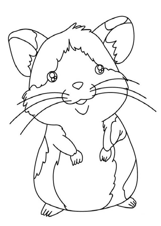  Detalle   imagen dibujos de hamster para colorear