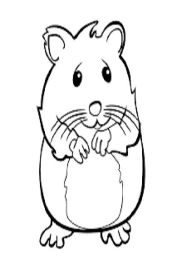 Mais Popular Hamster Para Colorir E Imprimir Hamster Para Colorir