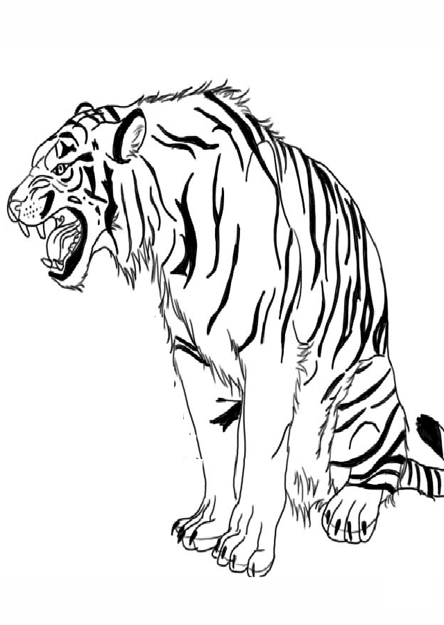 Tigre Para Colorear Dibujos Para Colorear