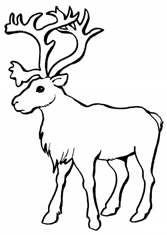 Dibujos de Rudolph para colorear  Cuadernos para niños