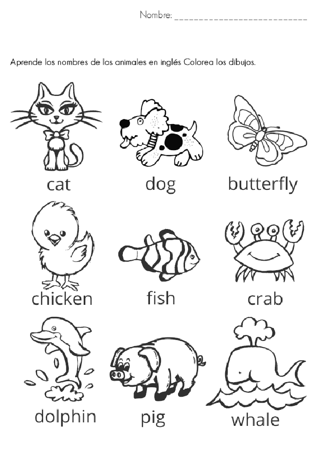 💠 Dibujos para colorear animales Ingles - Dibujosparacolorear.eu