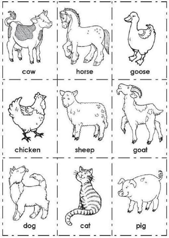 Dibujos Para Colorear Animales Ingles Dibujosparacolorear Eu